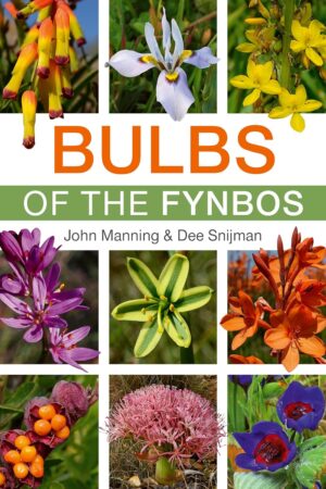 Bulbs of the fynbos