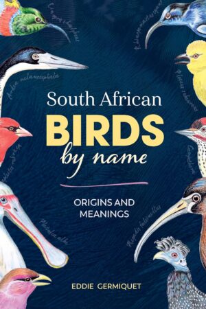 South African Birds by Name: Origins and meanings